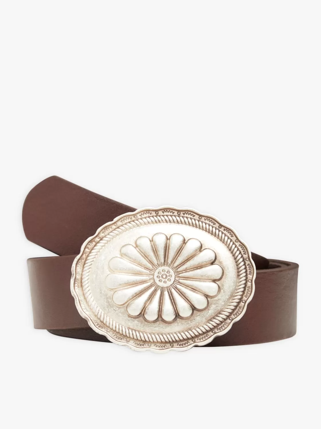 Women agnès b. Belts<Brown Plonge Lambskin Dakota Belt